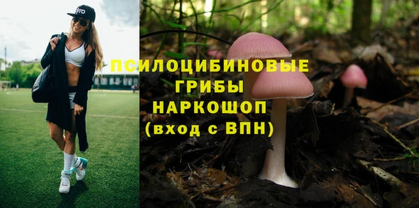 MESCALINE Алзамай