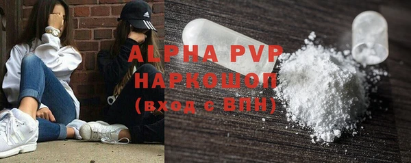 стафф Алексин