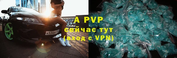 стафф Алексин