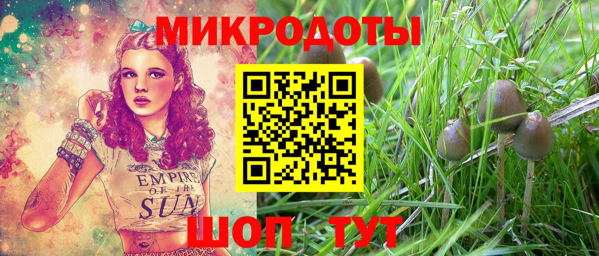 Псилоцибиновые грибы GOLDEN TEACHER Нижний Тагил